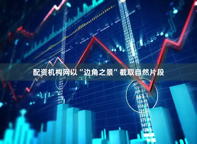 配资机构网以“边角之景”截取自然片段